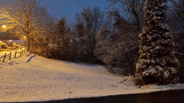 20131127_065133.jpg image