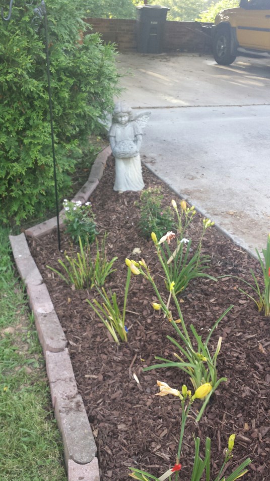 20150709_190503.jpg image