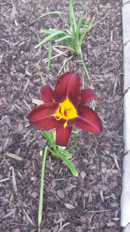 20150709_190526.jpg image