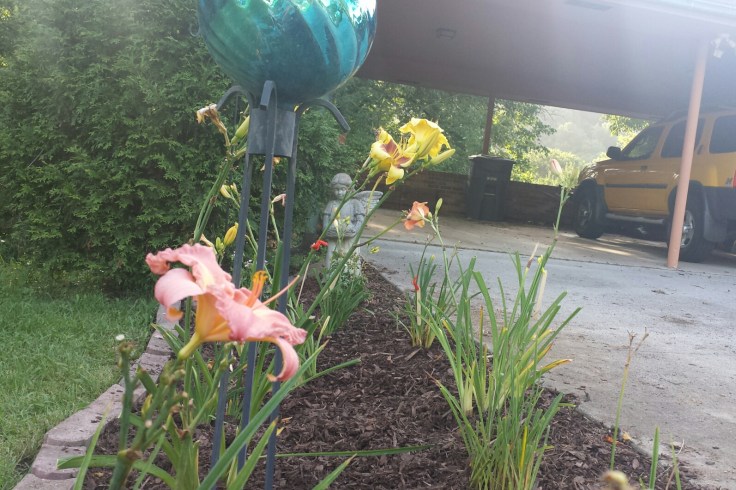 20150710_094234.png image