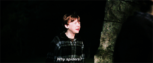 why-couldnt-it-be-follow-the-butterflies